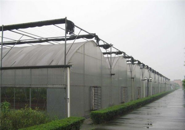 蔬菜溫室大棚冬季是怎么通風換氣的